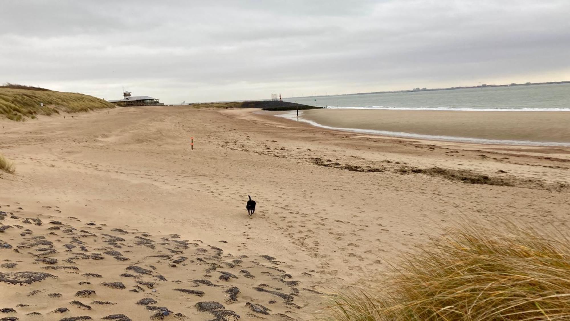Costa Linda B&B Vlissingen Zewnętrze zdjęcie